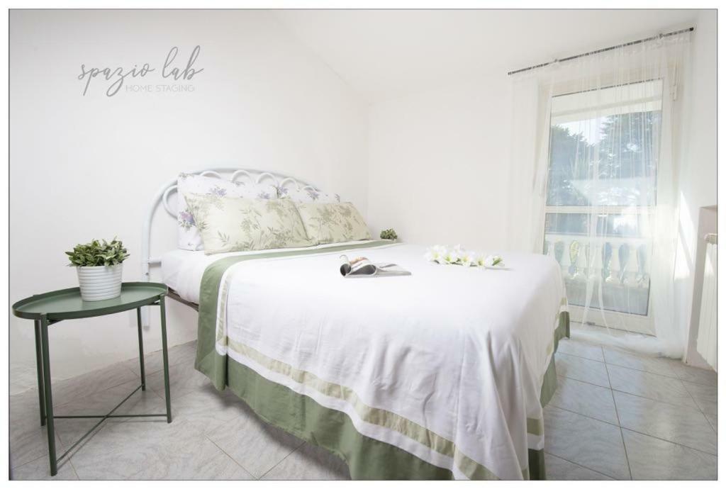 Villa D Apartments Marino Kültér fotó